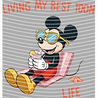 Cartoons and other-CO 2808